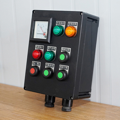 BXK8080防腐防爆控制箱操作柱（IIB、e、IIC）